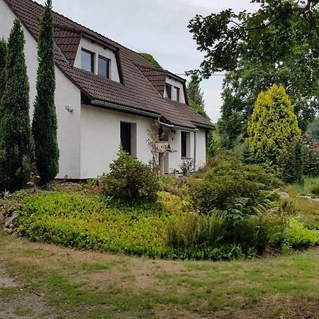 Ferienwohnung "Waldfrieden" Altdobern Exterior photo