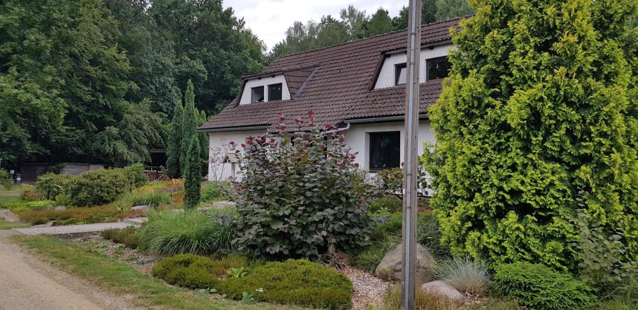 Ferienwohnung "Waldfrieden" Altdobern Exterior photo